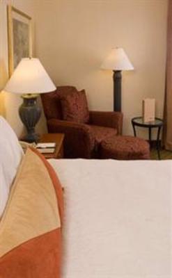 фото отеля Hilton Garden Inn Orlando Airport