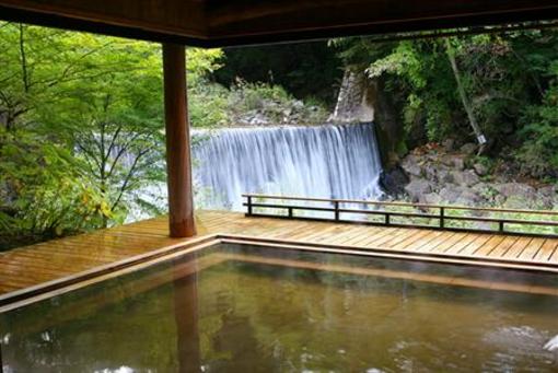 фото отеля Yakushionsen Hatago
