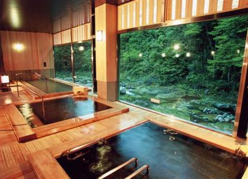 фото отеля Yakushionsen Hatago