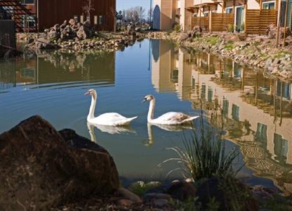 фото отеля DoubleTree by Hilton Hotel & Spa Napa Valley - American Canyon