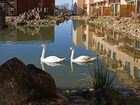 фото отеля DoubleTree by Hilton Hotel & Spa Napa Valley - American Canyon