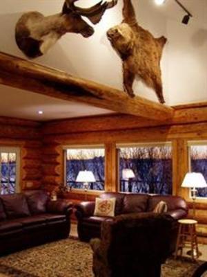 фото отеля Alaska Log Haven B&B