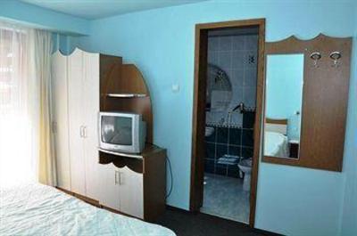фото отеля Pension Lidana Bucovina Vama