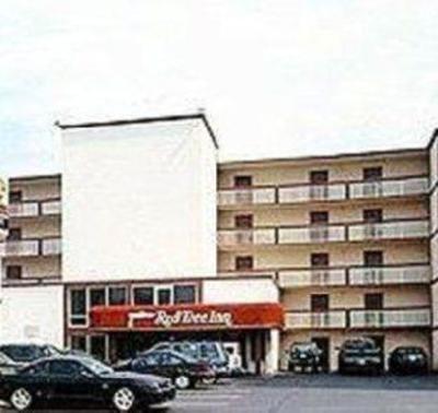 фото отеля Red Tree Inn Oceanfront