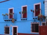 El Zopilote Mojado