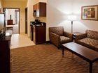 фото отеля Holiday Inn Express Hotel & Suites Buda