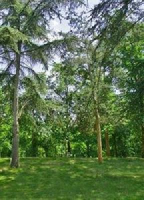 фото отеля Albirondack Camping Lodge & Spa