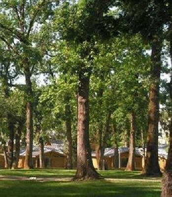 фото отеля Albirondack Camping Lodge & Spa