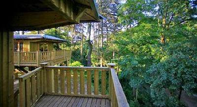 фото отеля Albirondack Camping Lodge & Spa