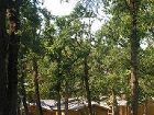 фото отеля Albirondack Camping Lodge & Spa