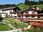фото отеля Platzl Hotel Wildschonau