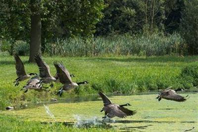 фото отеля Park 7