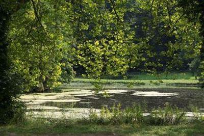 фото отеля Park 7