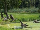 фото отеля Park 7