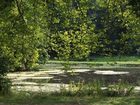 фото отеля Park 7