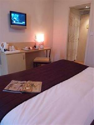 фото отеля Best Western Le Vinci Loire Valley