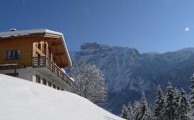 фото отеля Alps Villa