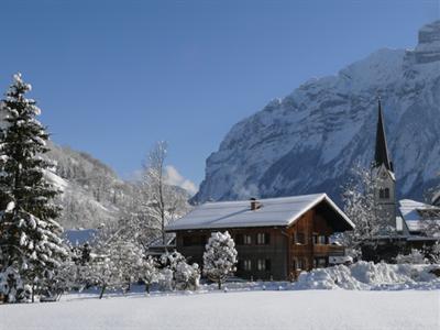 фото отеля Alps Villa