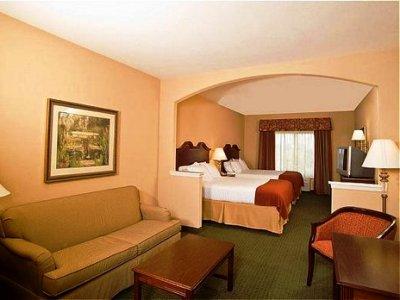 фото отеля Holiday Inn Express Hotel & Suites San Antonio South