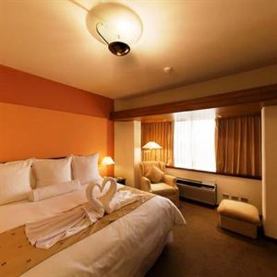 фото отеля Thunderbird Hotel Pardo