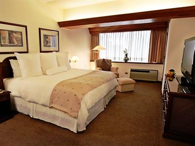 фото отеля Thunderbird Hotel Pardo