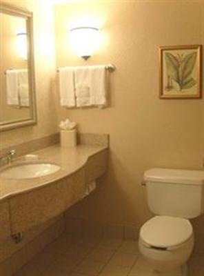 фото отеля Hilton Garden Inn Dallas/Market Center