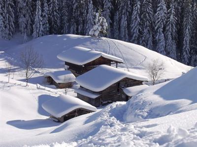 фото отеля Gasthof Schneerose