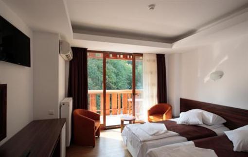 фото отеля Hotel Maria Baile Olanesti