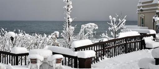 фото отеля November Ocean Stay