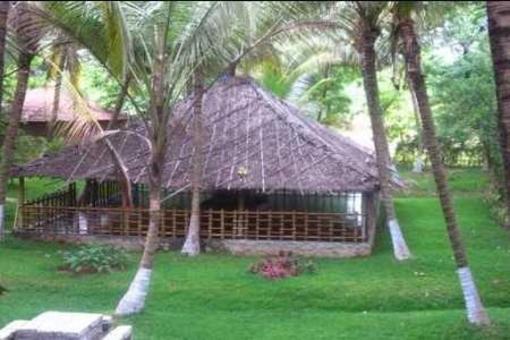 фото отеля Kairali Ayurvedic Health Resort