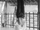 фото отеля Kairali Ayurvedic Health Resort