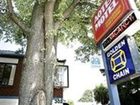 фото отеля Aotea Motel