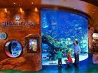 фото отеля Silverton Hotel and Casino
