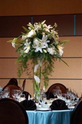 фото отеля DoubleTree by Hilton Chicago - Arlington Heights