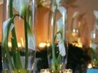 фото отеля DoubleTree by Hilton Chicago - Arlington Heights