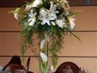 фото отеля DoubleTree by Hilton Chicago - Arlington Heights