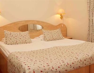 фото отеля Hotel Ferdinand Baile Herculane