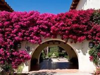 Miramonte Resort & Spa