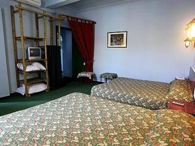 фото отеля Logis Hotel Chez Carriere