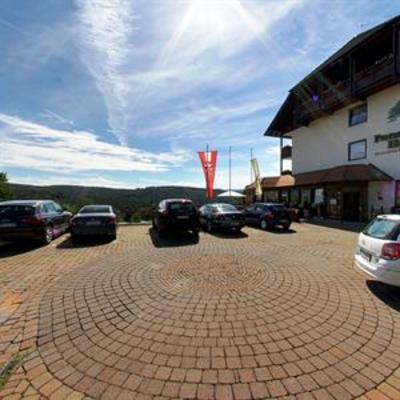 фото отеля Panoramahotel Heimbuchenthal