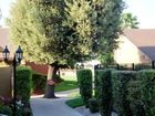 фото отеля Best Western Plus Village Inn