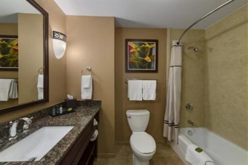 фото отеля Embassy Suites Orlando Lake Buena Vista South