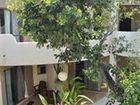 фото отеля Hotel Posada 06 Tulum