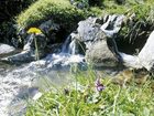 фото отеля Wellnesshotel Mitterwirt