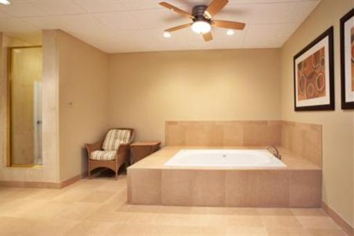 фото отеля Holiday Inn New Orleans - Chateau Lemoyne