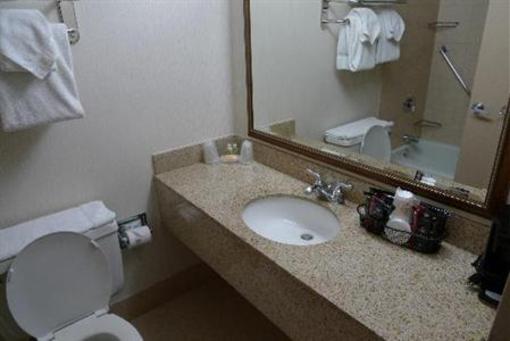 фото отеля Holiday Inn New Orleans - Chateau Lemoyne