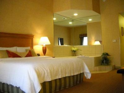фото отеля Hilton Garden Inn Tinley Park