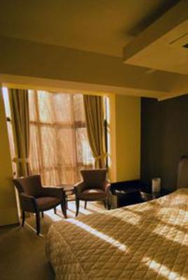 фото отеля Europa Hotel Botosani