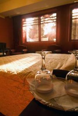 фото отеля Europa Hotel Botosani