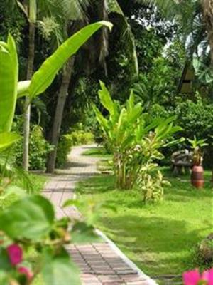 фото отеля Samui Beach Resort